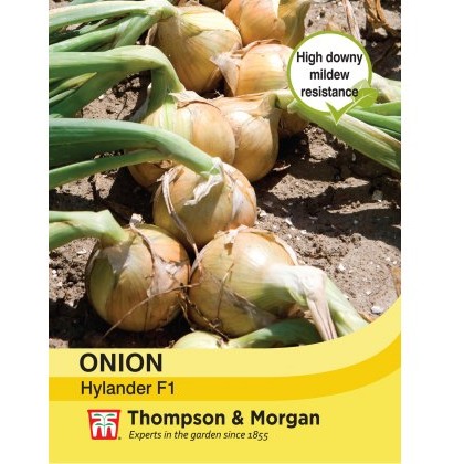 Onion Hylander F1 Hybrid