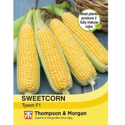Sweetcorn Tyson
