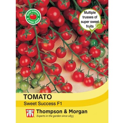Tomato Sweet Success F1 Hybrid