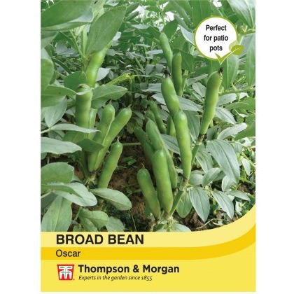 Broad Bean Oscar