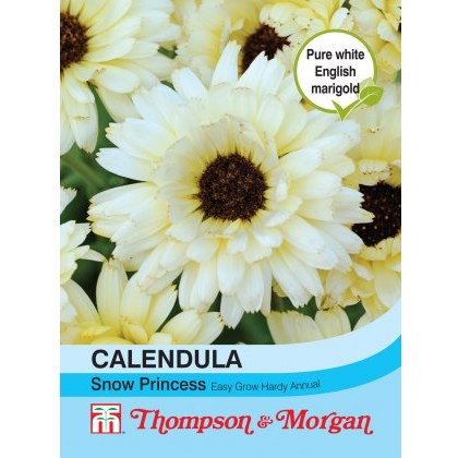 Calendula Snow Princess
