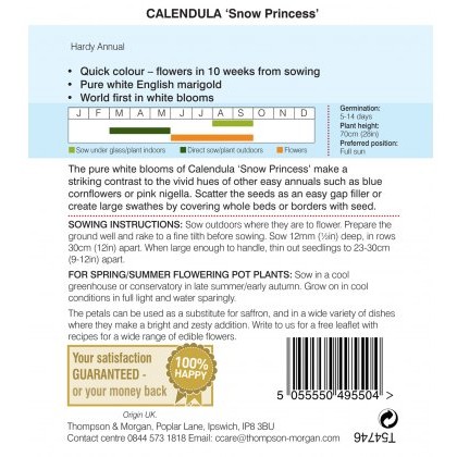Calendula Snow Princess