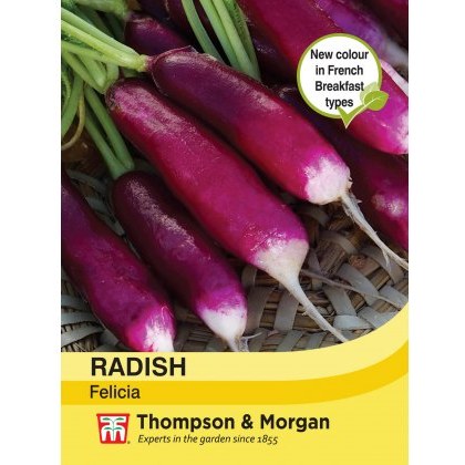Radish Felicia