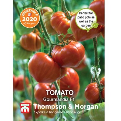Tomato Gourmandia F1 Hybrid
