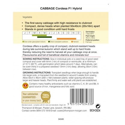 Cabbage Savoy Cordesa F1 Hybrid