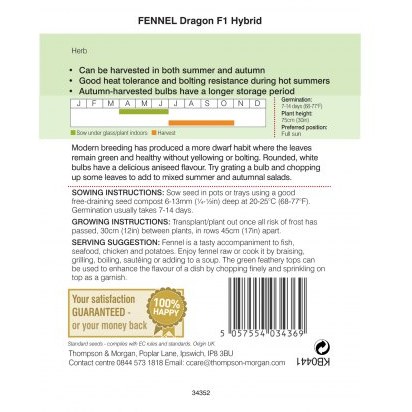 Herb Fennel Dragon F1 Hybrid