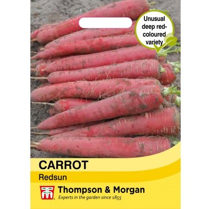 Carrot Redsun