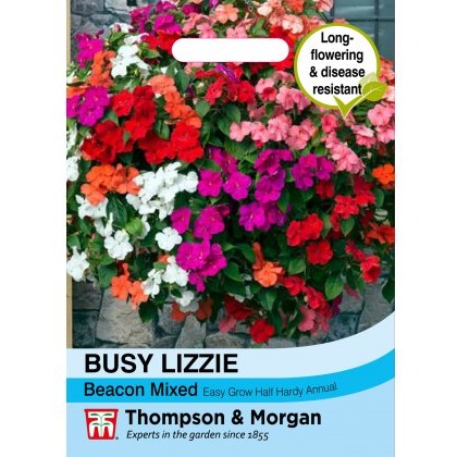 Busy Lizzie Beacon Mixed