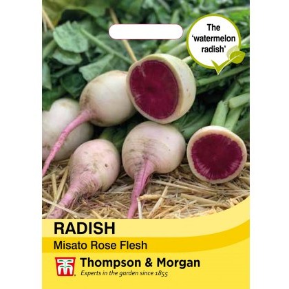 Radish Misato Rose Flesh