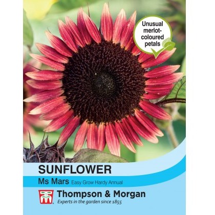 Sunflower Ms Mars