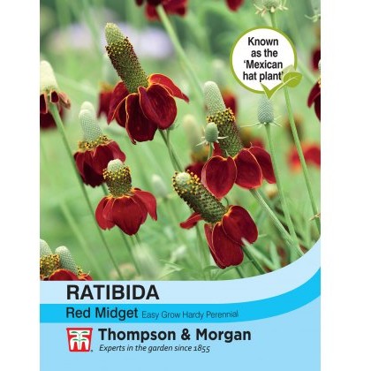 Ratibida columnifera Red Midget