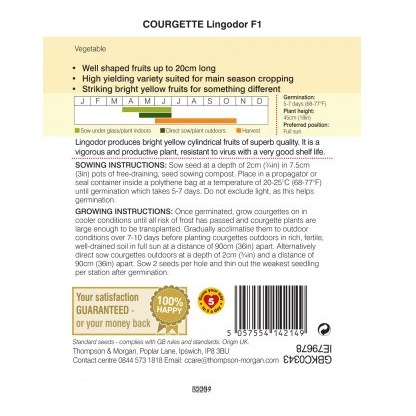 Courgette Lingodor F1