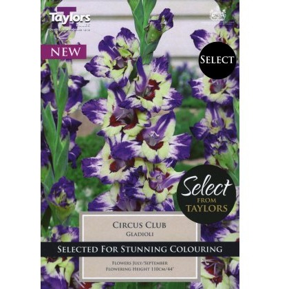 TAYLORS Gladioli Circus Club - Special Edition