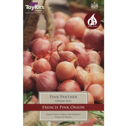 ONION Pink Panther ONION Pink Panther