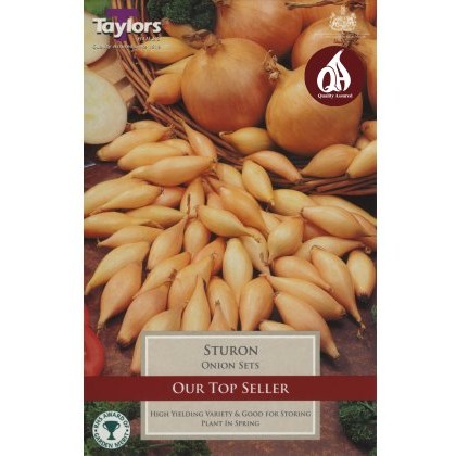 ONION Sturon ONION Sturon
