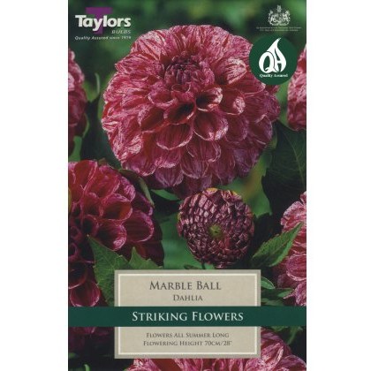 TAYLORS Dahlia Marble Ball