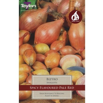 SHALLOT Biztro SHALLOT Biztro