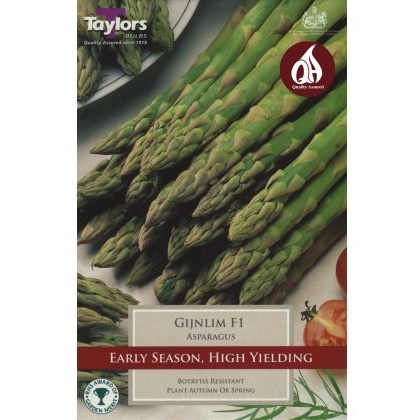 ASPARAGUS Gijnlim F1 ASPARAGUS Gijnlim F1