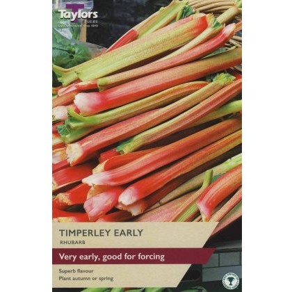 RHUBARB Timperly Early RHUBARB Timperly Early