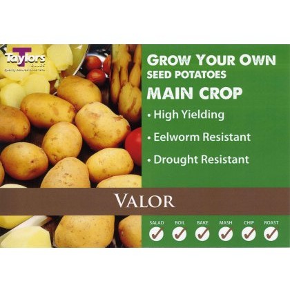 SEED POTATO - MAIN CROP Valor - 2kg SEED POTATO - MAIN CROP Valor - 2kg