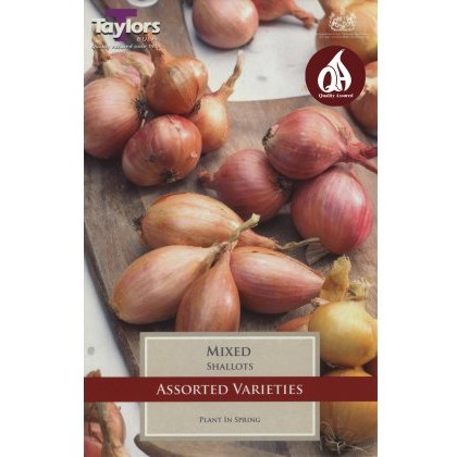 SHALLOTS Pre-Packed Mixed SHALLOTS Pre-Packed Mixed