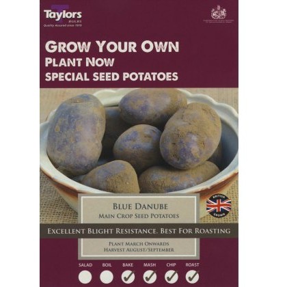 SEED POTATO - MAIN CROP Blue Danube - Taster Pack SEED POTATO - MAIN CROP Blue Danube - Taster Pack