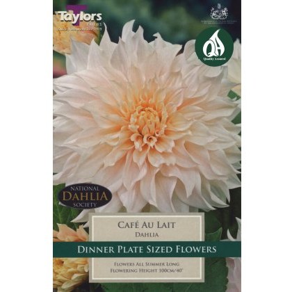 TAYLORS Dahlia Cafe Au Lait