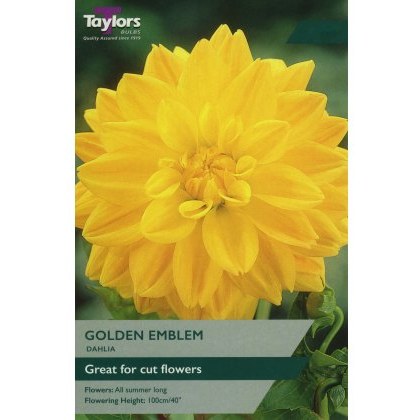 TAYLORS Dahlia Golden Emblem