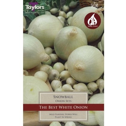 ONION Snowball ONION Snowball