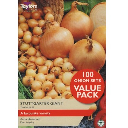 ONION Stuttgarter Giant ONION Stuttgarter Giant