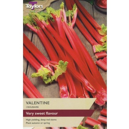 RHUBARB Valentine RHUBARB Valentine