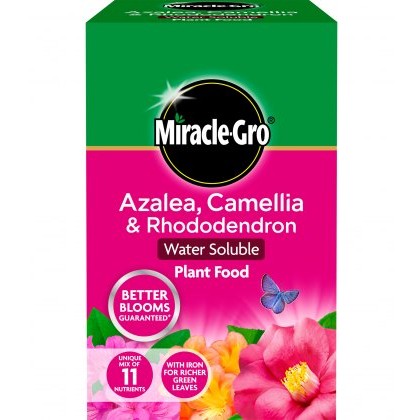 MIRACLE-GRO®Azalea, Camellia & Rhododendron Soluble Plant Food 500g MIRACLE-GRO®Azalea, Camellia & Rhododendron Soluble Plant Food 500g