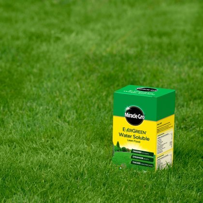 MIRACLE-GRO® Soluble Lawn Food 1Kg MIRACLE-GRO® Soluble Lawn Food 1Kg