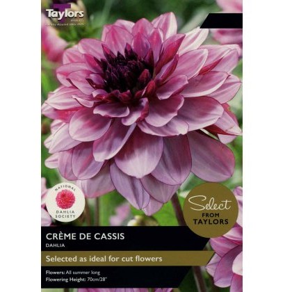 TAYLORS Dahlia Creme De Cassis - Special Edition