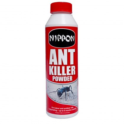 Ants