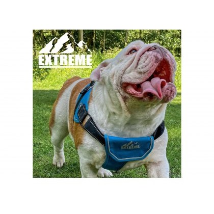 ANCOL Extreme Harness Blue L