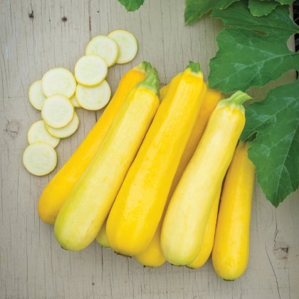 Courgette Butterstick 9cm Courgette Butterstick 9cm