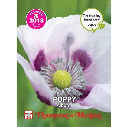 Poppy Album