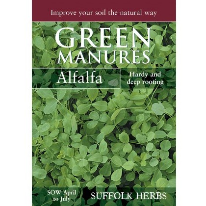 Alfalfa (Pack for 40sq.m)