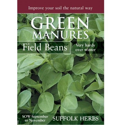 Field Beans (Pack for 6 sq.m)