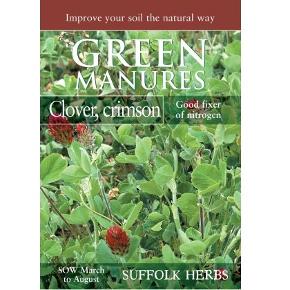 Crimson Clover (Pack for 30 sq.m)