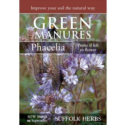 Phacelia Tanacetefolia (Pack for 25 sq.m)