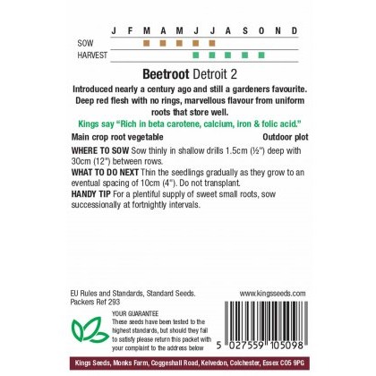 Beetroot Detroit Globe 2