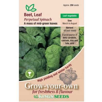 Beet Leaf Perpetual Spinach