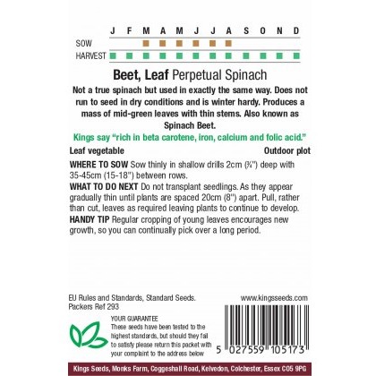 Beet Leaf Perpetual Spinach