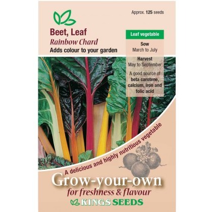 Beet Leaf Rainbow Chard