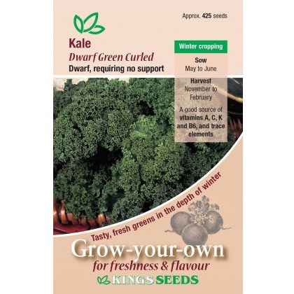 Kale Dwarf Green Curled