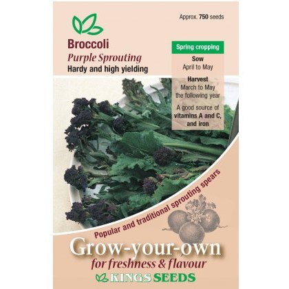 Broccoli Purple Sprouting
