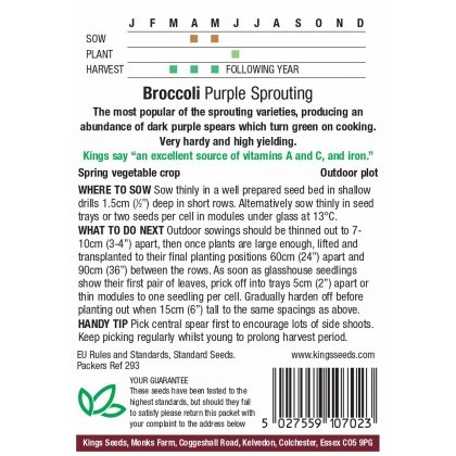 Broccoli Purple Sprouting