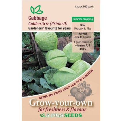Cabbage Golden Acre Primo 2